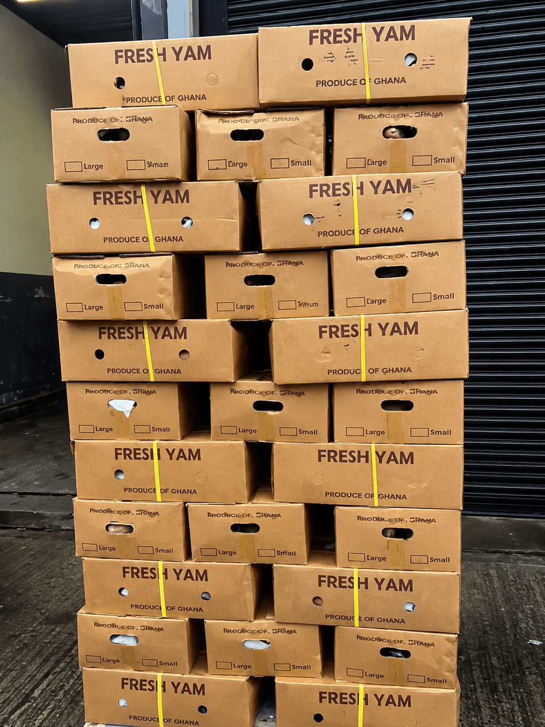 Sorting & Packaging